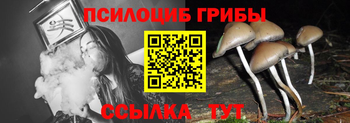 купить наркоту  Вход с VPN  Саратов  Галлюциногенные грибы ЛСД 